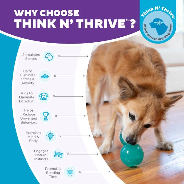 Planet Dog Double-Tuff TNT Interactive Dog Toy Blue Medium