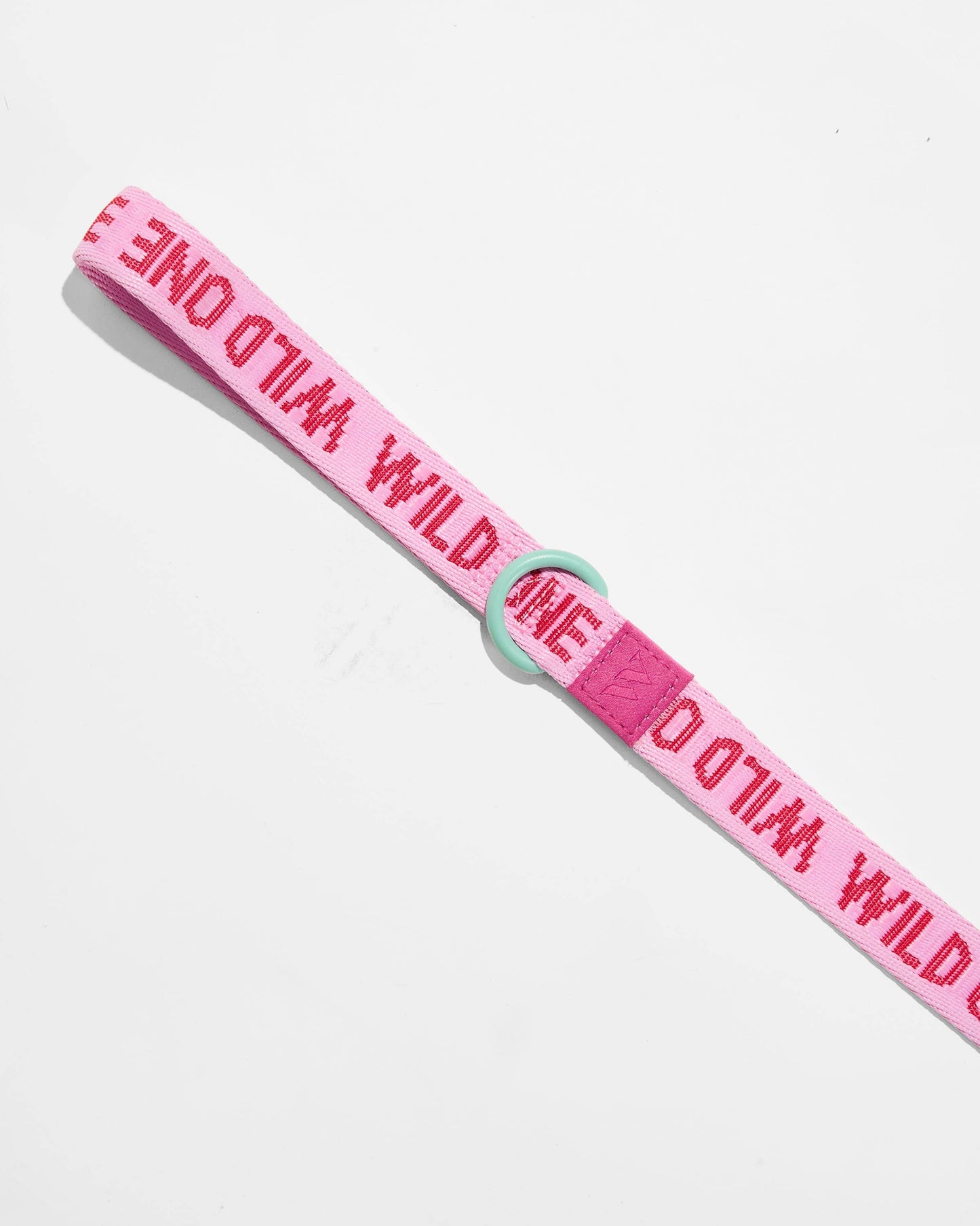 Lightweight Woven Leash: Retro