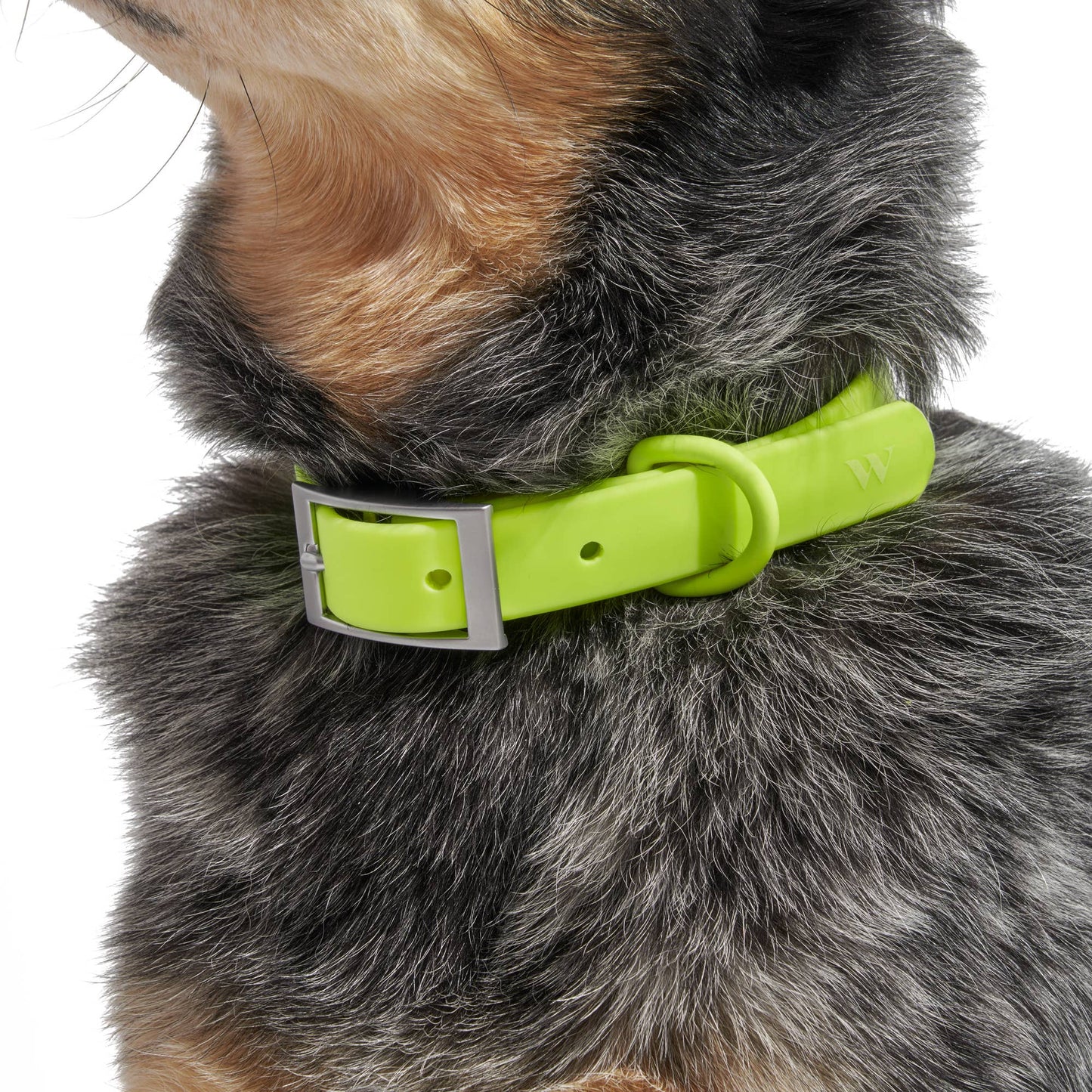 Adjustable Waterproof Collar: Strawberry / MEDIUM