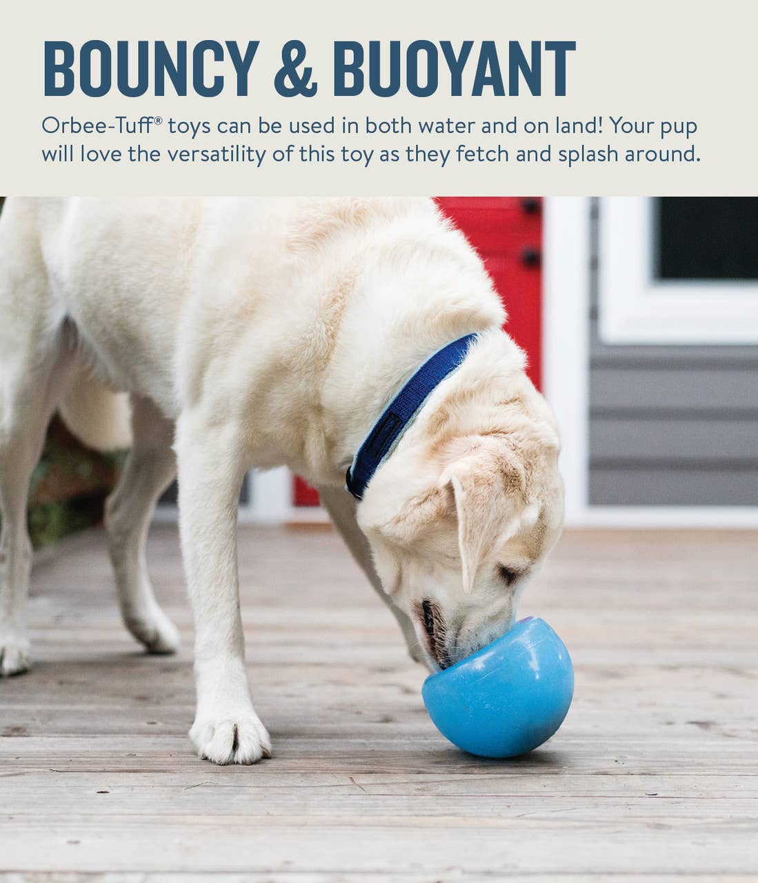 Planet Dog Orbee-Tuff Snoop Treat-Dispensing Dog Toy Blue