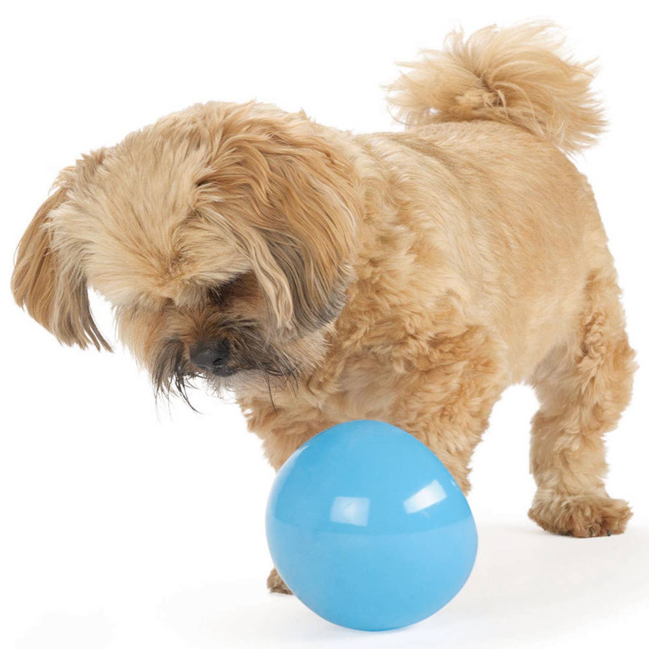 Planet Dog Orbee-Tuff Snoop Treat-Dispensing Dog Toy Blue