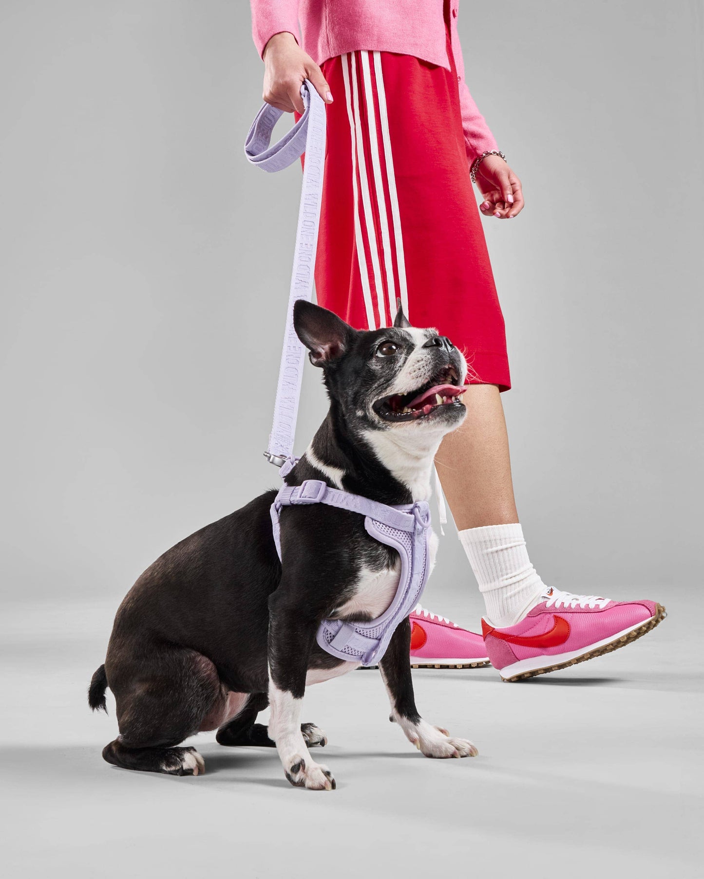 Lightweight Woven Leash: Retro