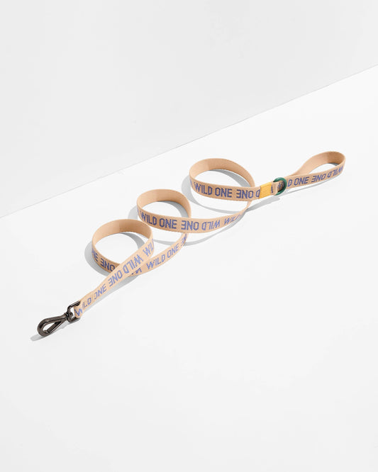 Lightweight Woven Leash: Retro
