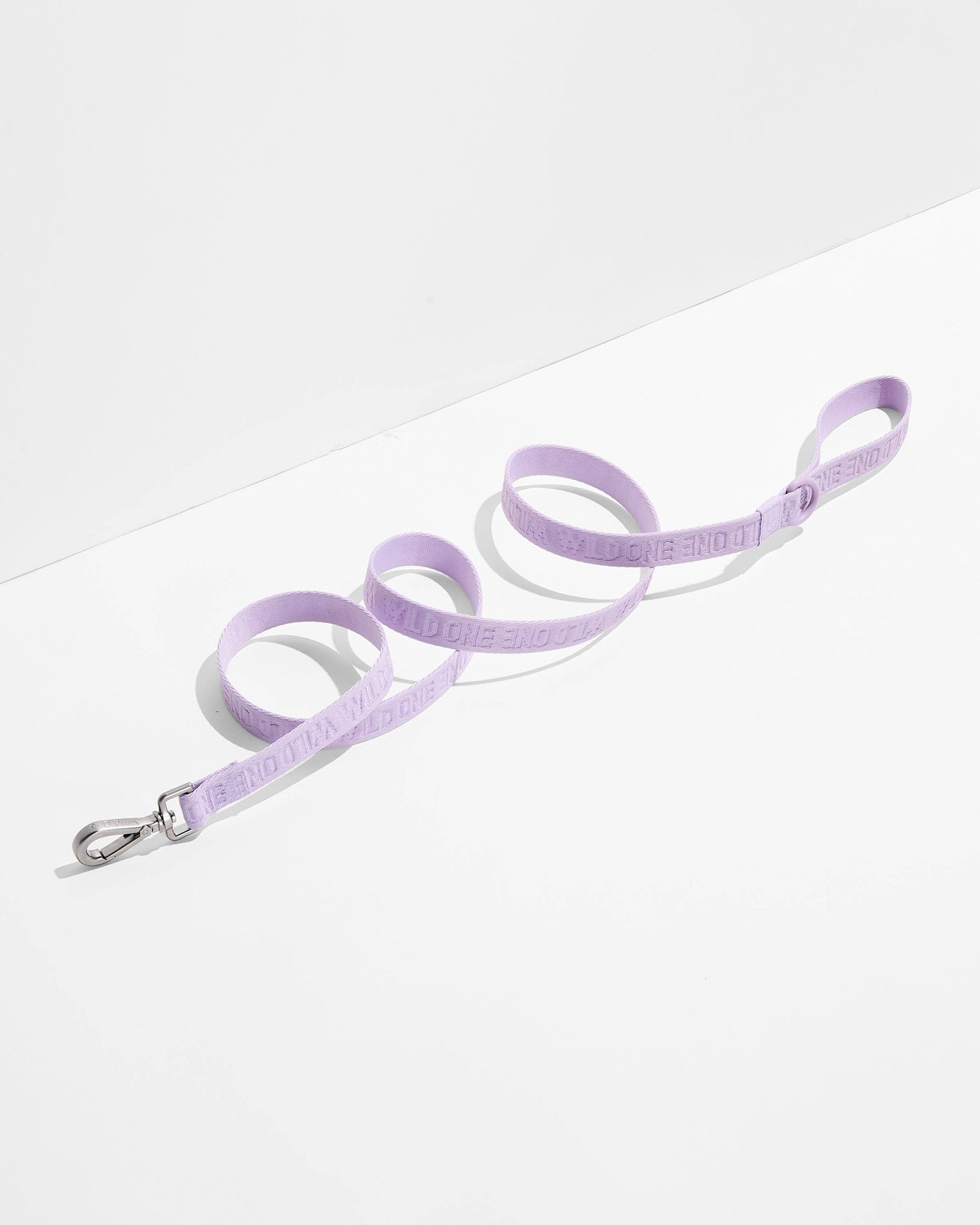 Lightweight Woven Leash: Retro