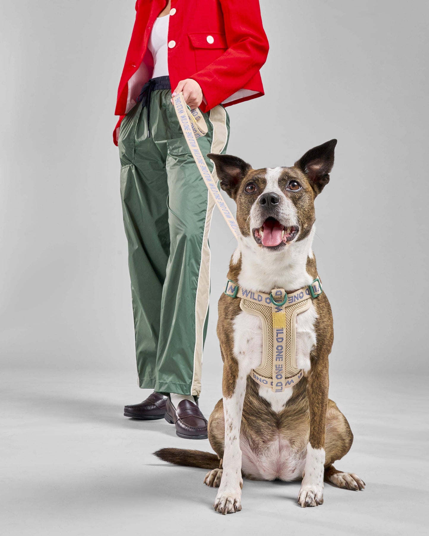 Lightweight Woven Leash: Retro