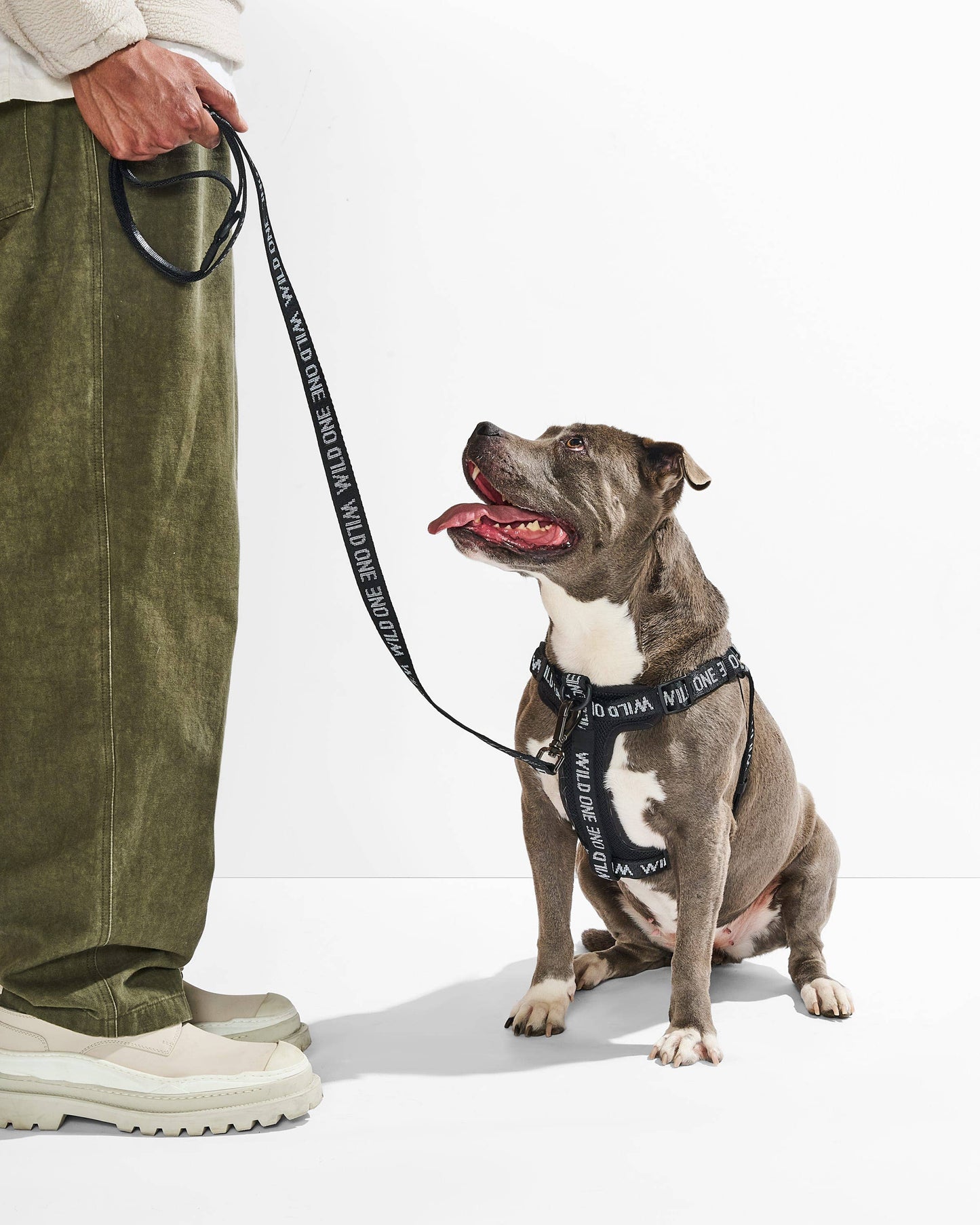 Lightweight Woven Leash: Retro