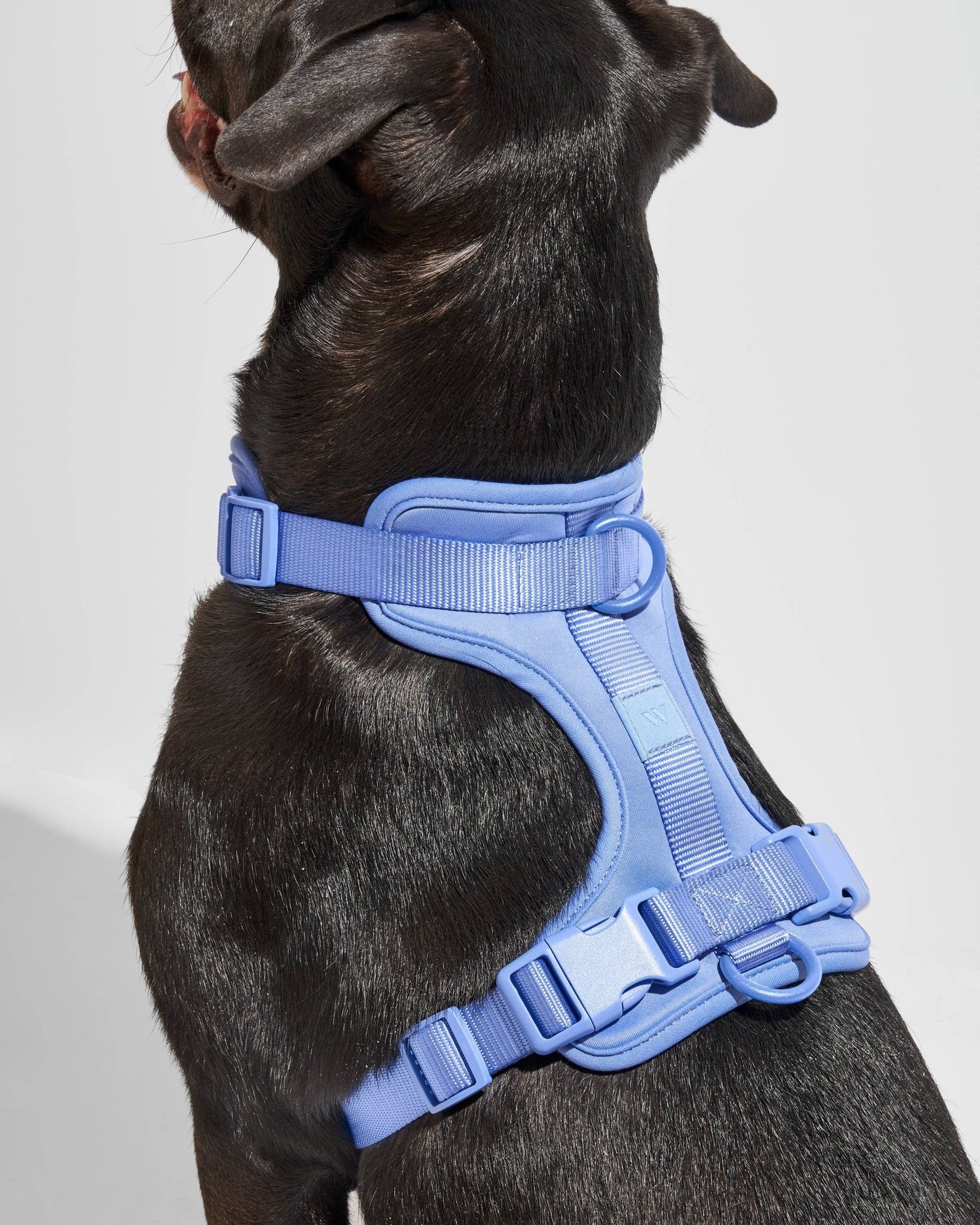 Harness: Tan Colorblock / MEDIUM