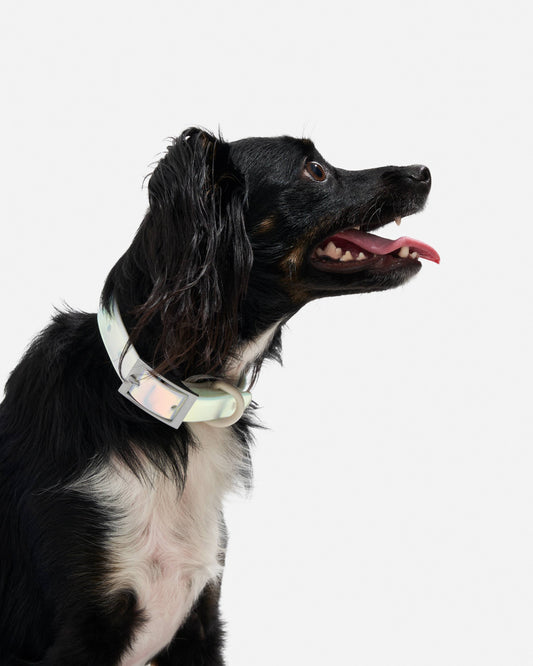Adjustable Waterproof Collar: Strawberry / MEDIUM