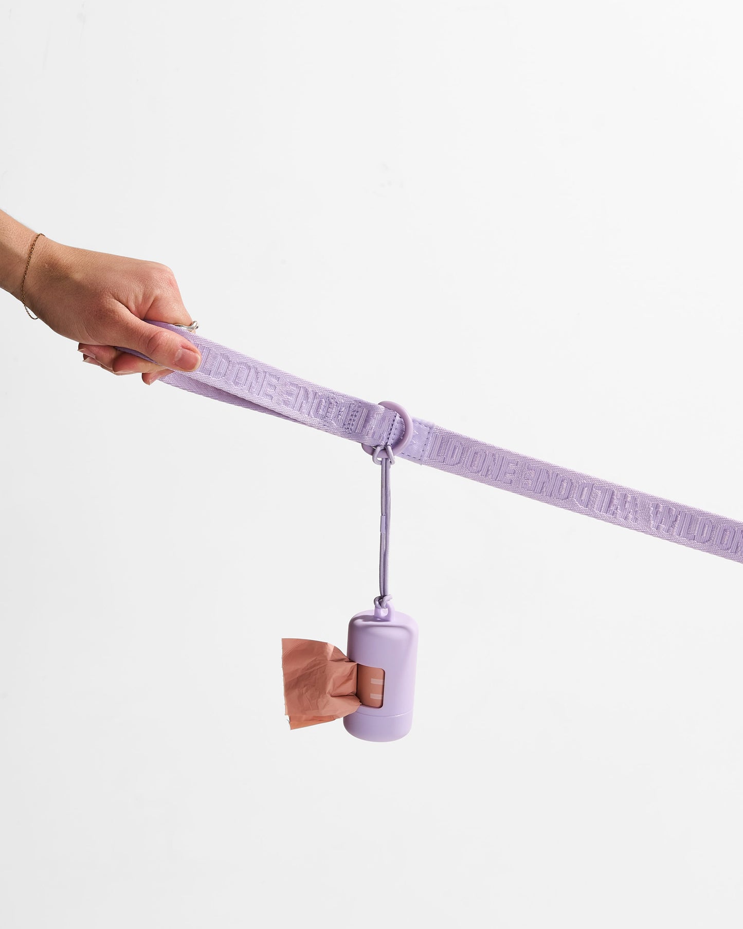 Lightweight Woven Leash: Retro