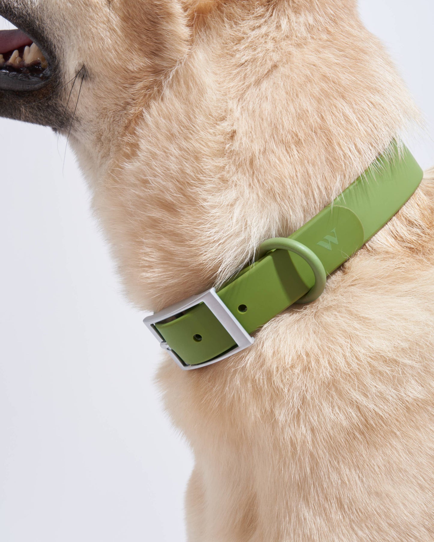 Adjustable Waterproof Collar: Strawberry / MEDIUM