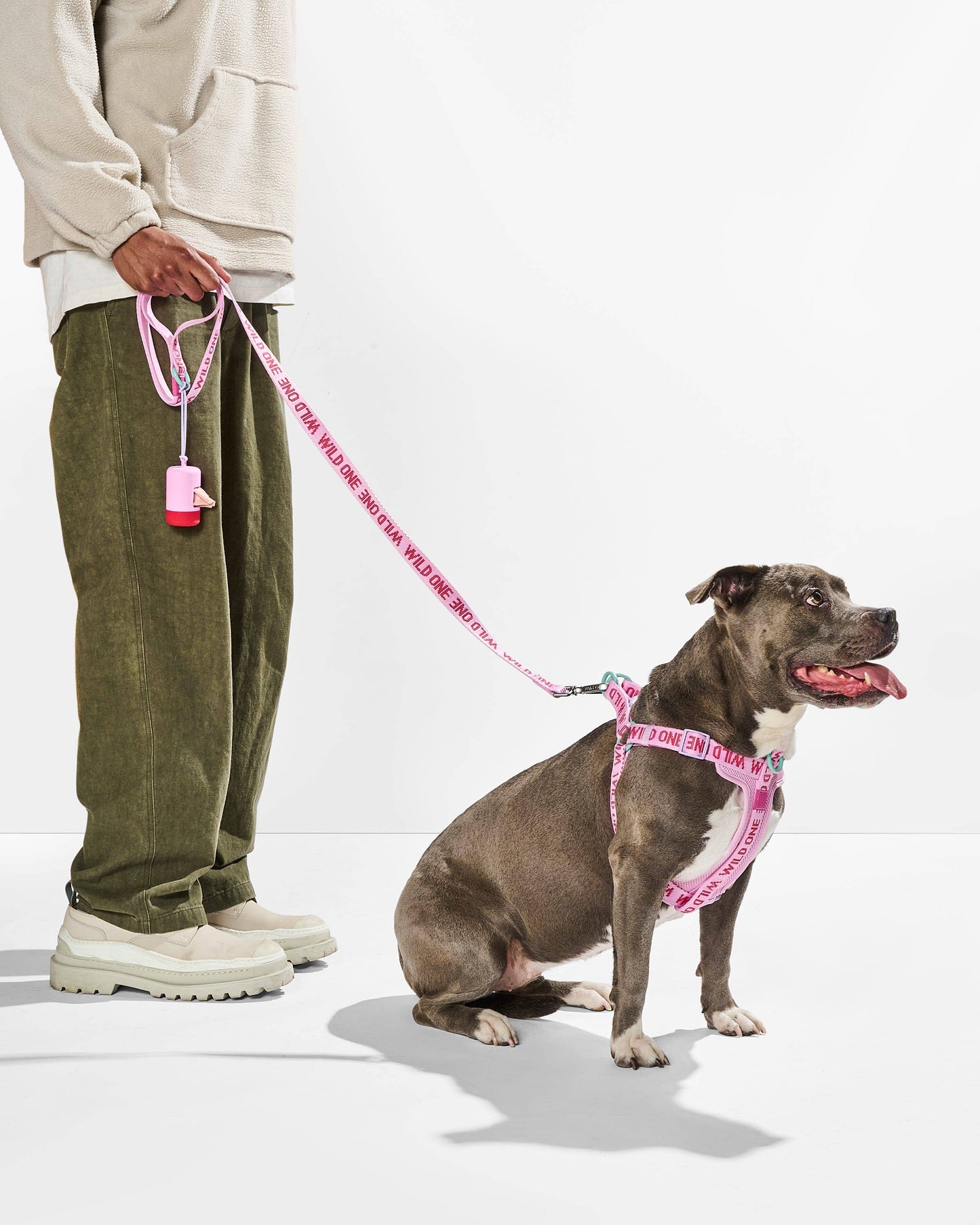 Lightweight Woven Leash: Retro