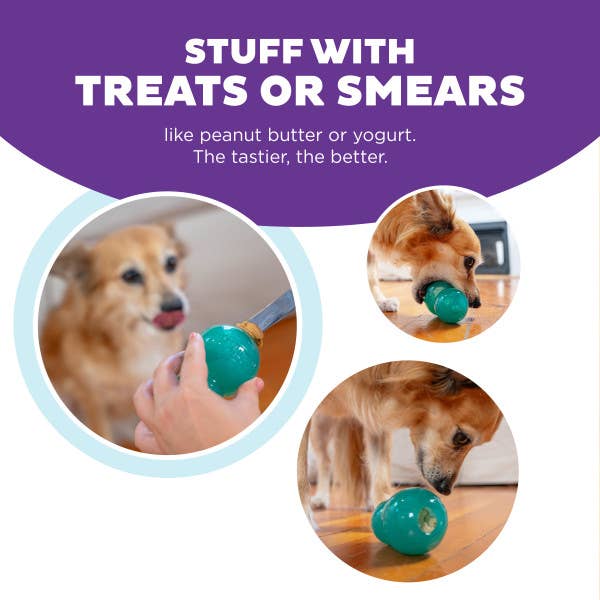 Planet Dog Double-Tuff TNT Interactive Dog Toy Blue Medium
