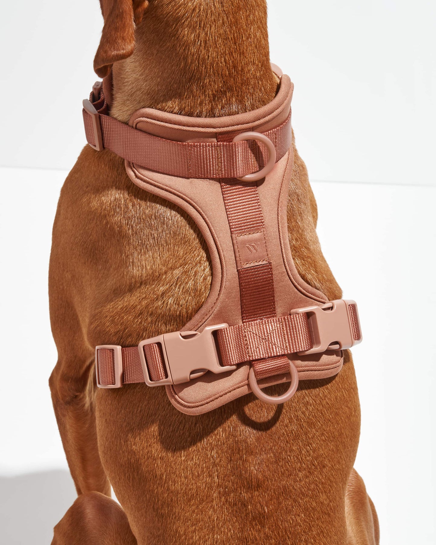 Harness: Tan Colorblock / MEDIUM