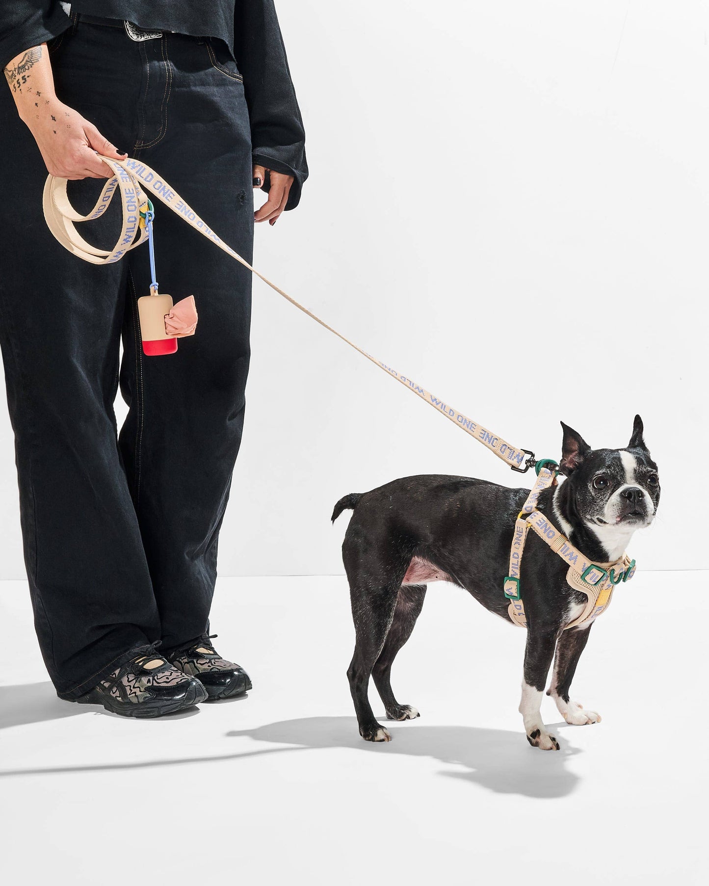 Lightweight Woven Leash: Retro