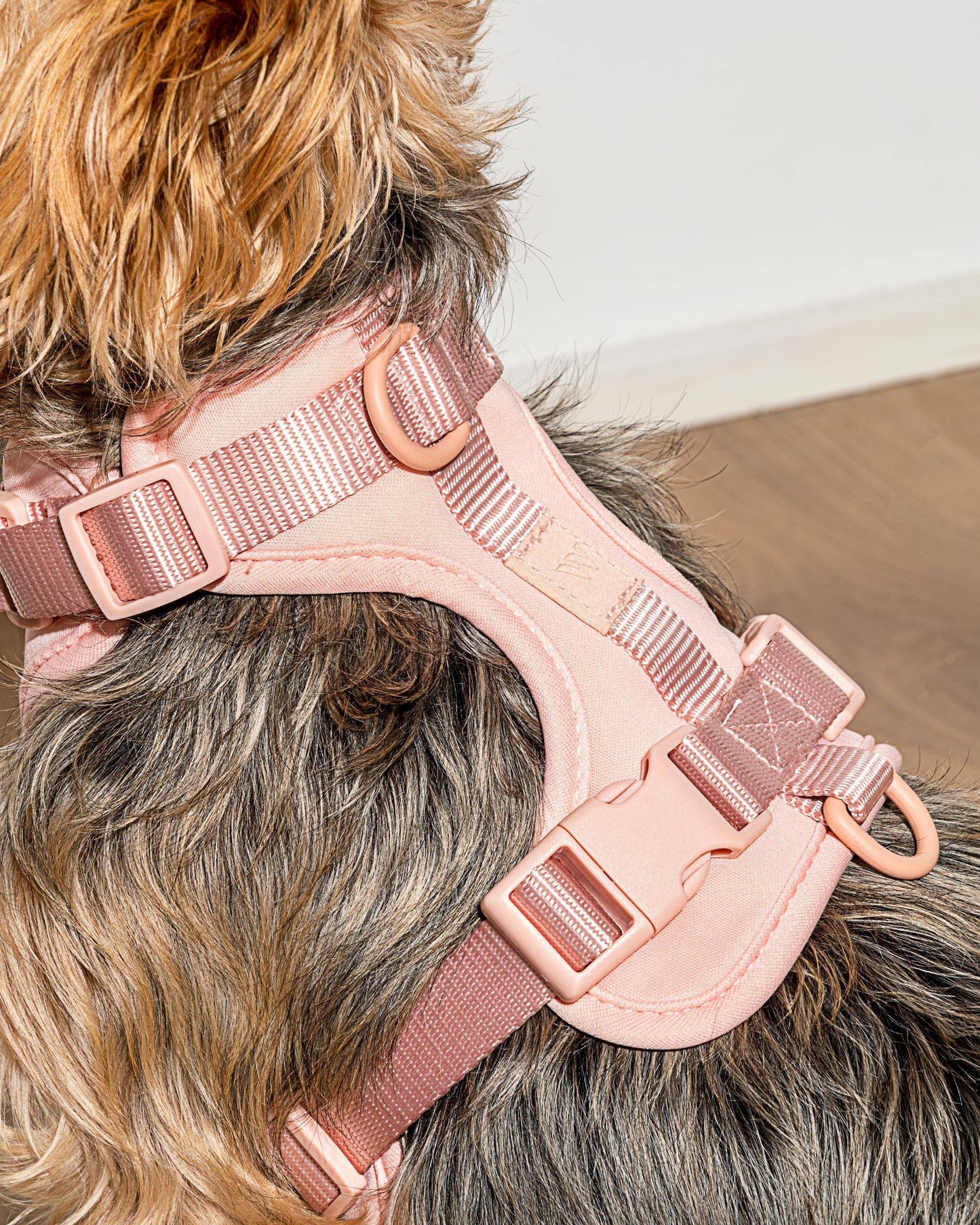 Harness: Tan Colorblock / MEDIUM