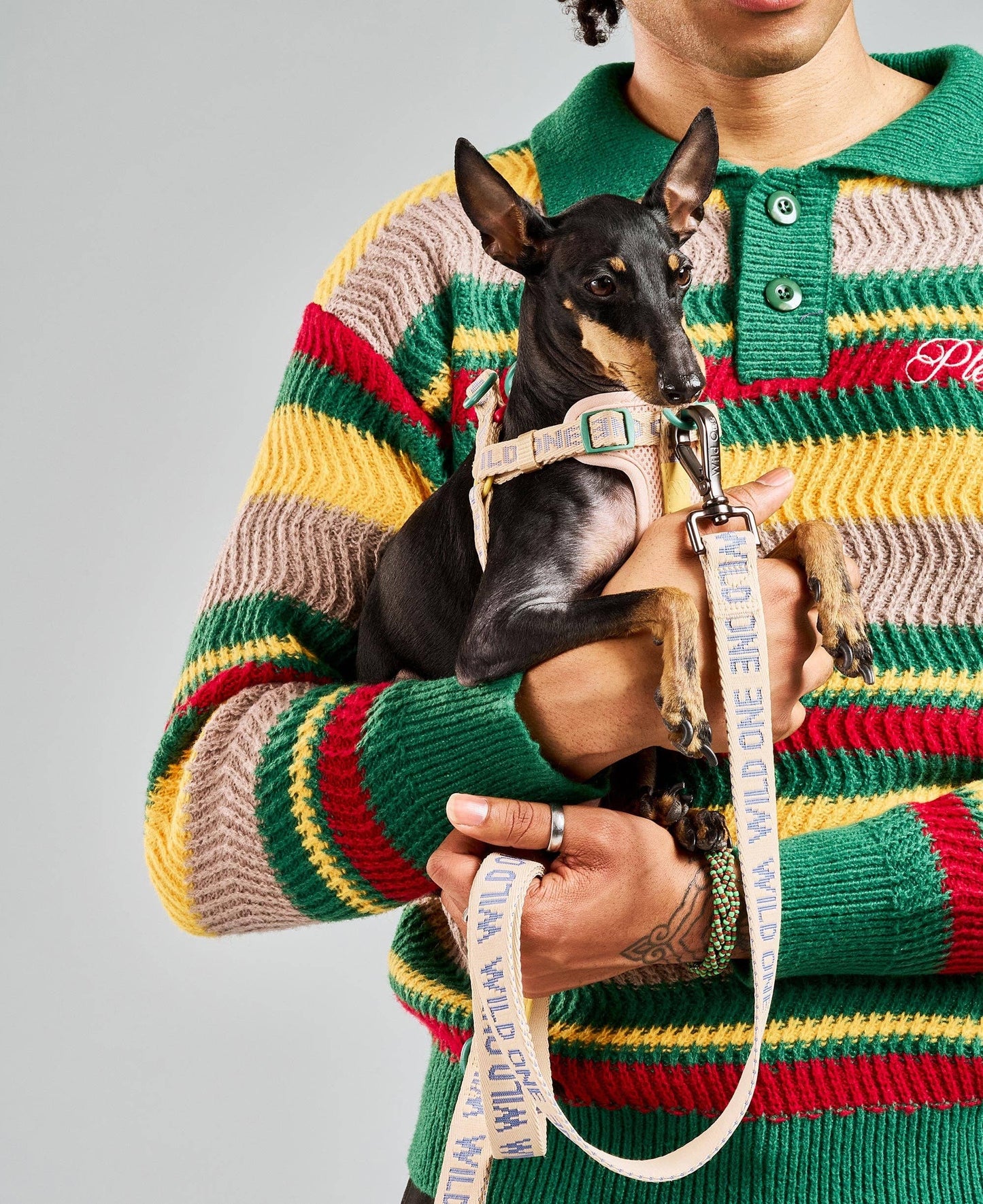 Lightweight Woven Leash: Retro