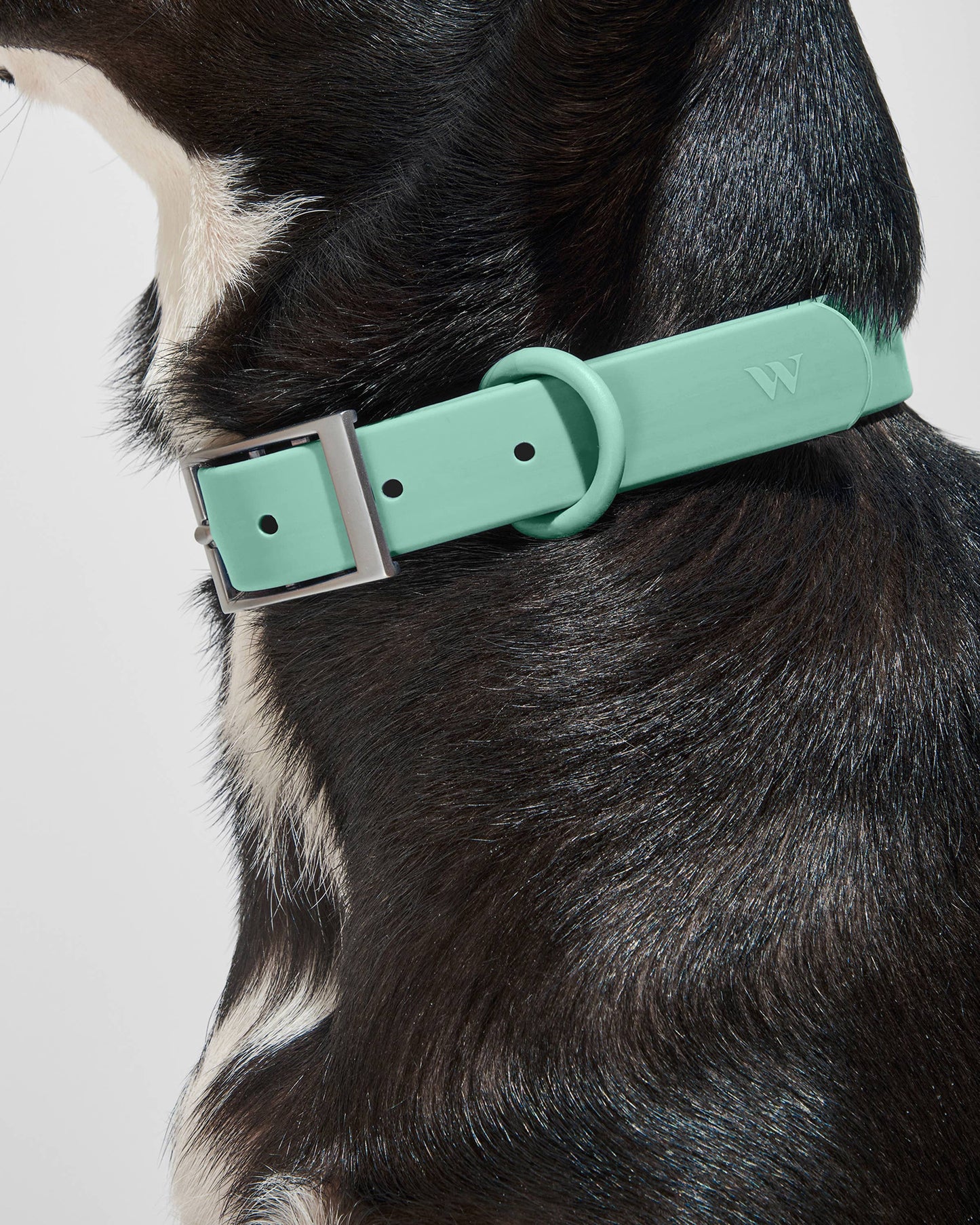 Adjustable Waterproof Collar: Strawberry / MEDIUM