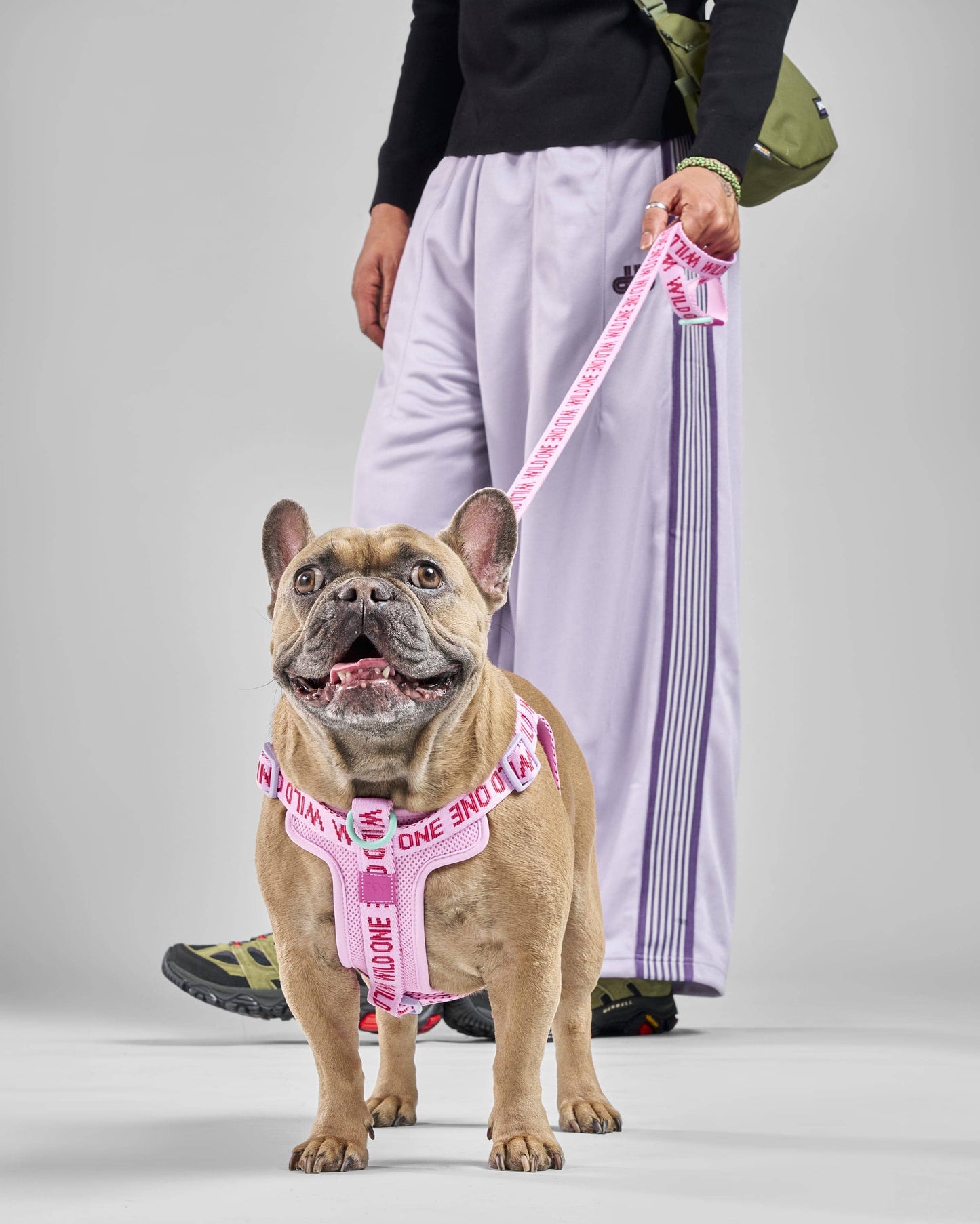 Lightweight Woven Leash: Retro