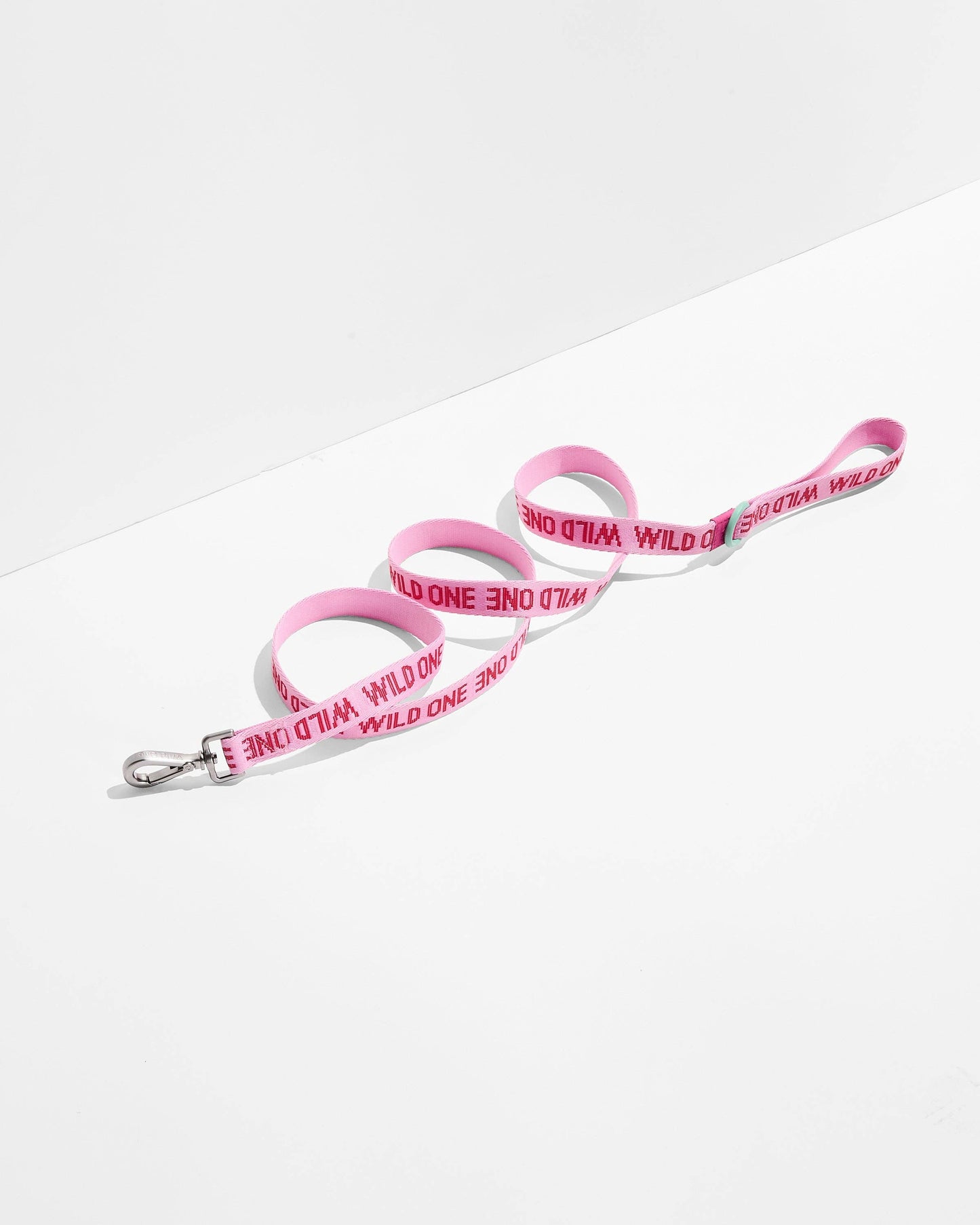Lightweight Woven Leash: Retro