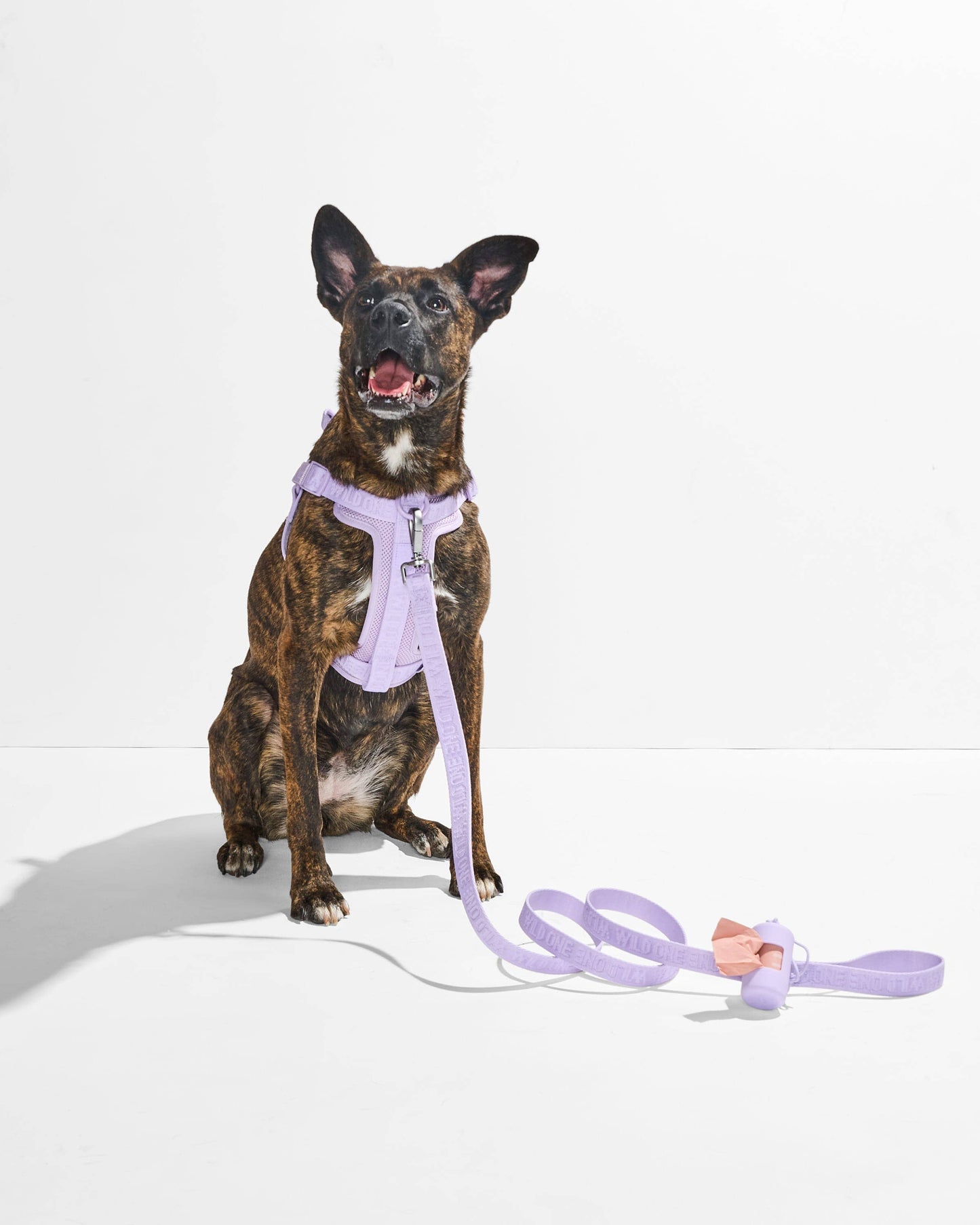 Lightweight Woven Leash: Retro