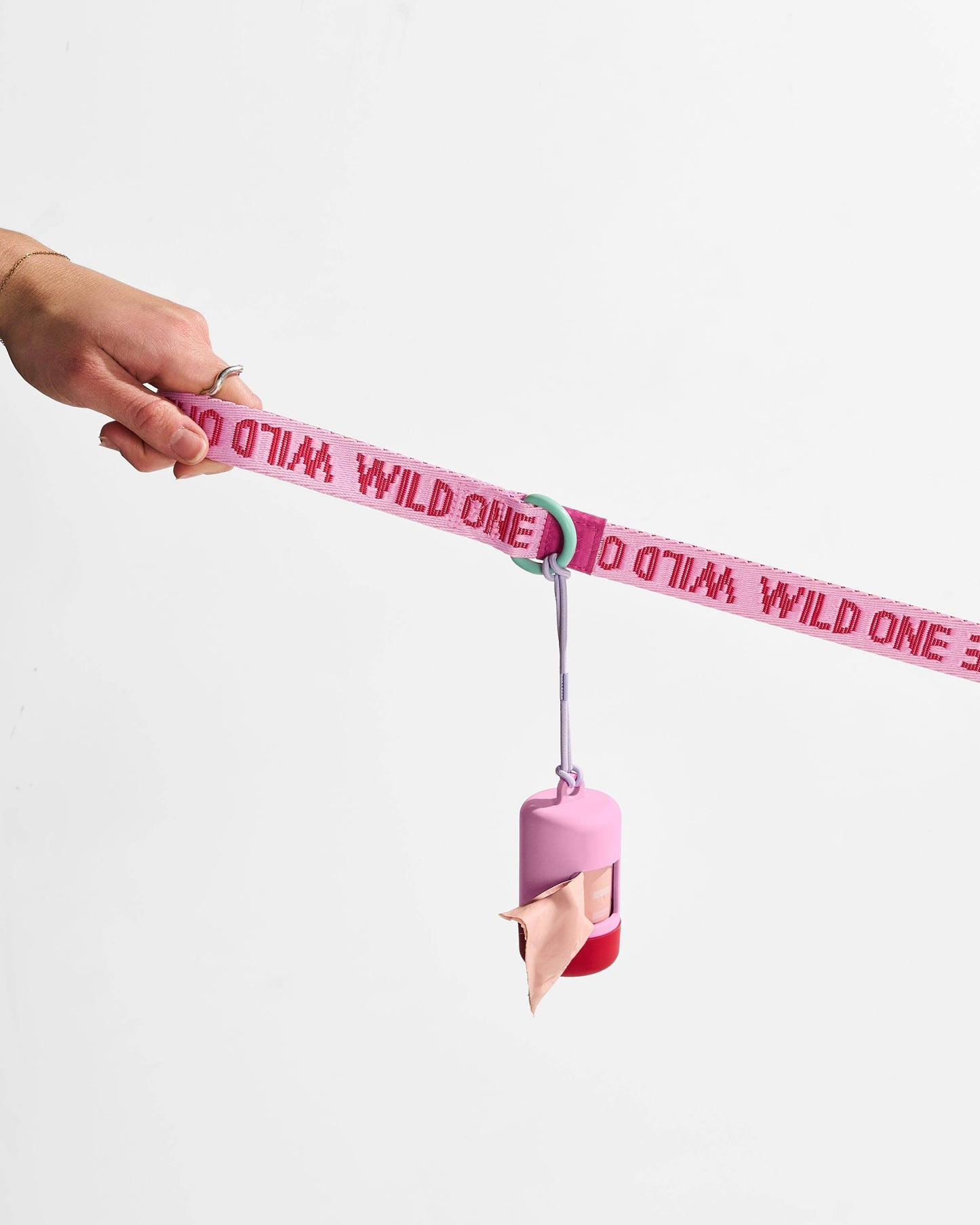 Lightweight Woven Leash: Retro
