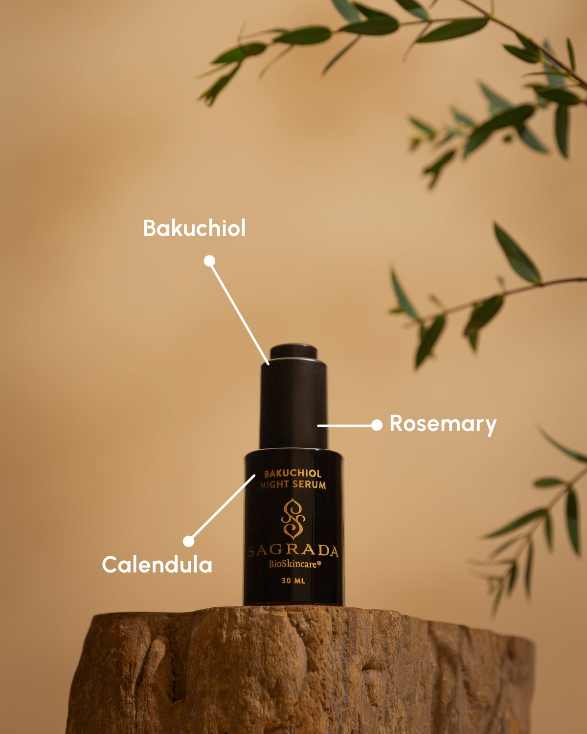 Sagrada Night Bakuchiol Serum